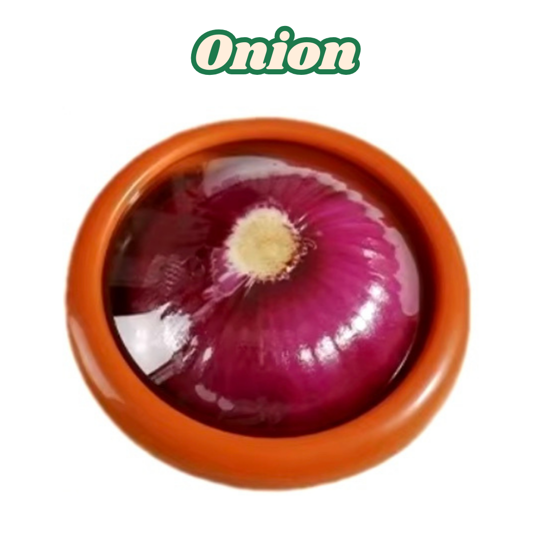 SILICONE POD FRESHBOX